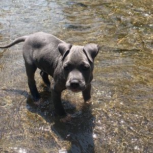 Meet your Posher, Ron